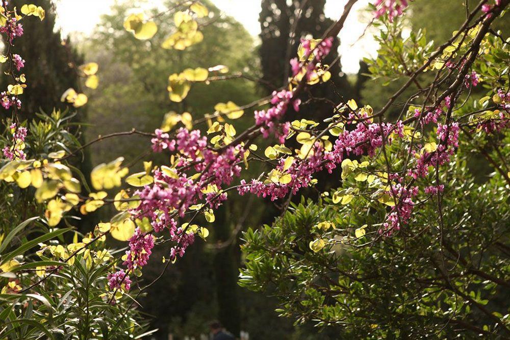 فندق Mas De L'Amarine Saint-Rémy-de-Provence المظهر الخارجي الصورة